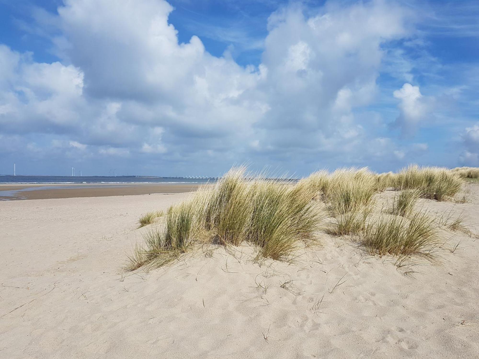 Olmenduin Chalet Veere Zeeland Serooskerke  Ngoại thất bức ảnh